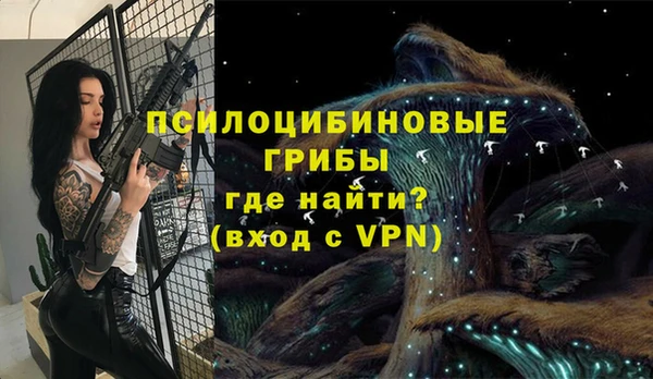 шишки Верхнеуральск