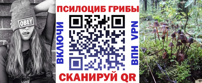 ссылка на мегу сайт  купить наркотик  Красногорск  Галлюциногенные грибы Magic Shrooms 