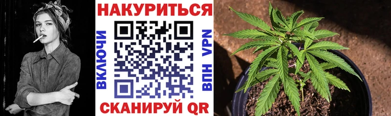 Бошки марихуана планчик  Красногорск 